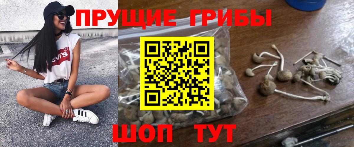 Псилоцибиновые грибы мицелий Магадан