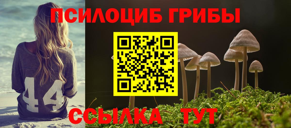 Магадан  Галлюциногенные грибы ЛСД  Вход с VPN 