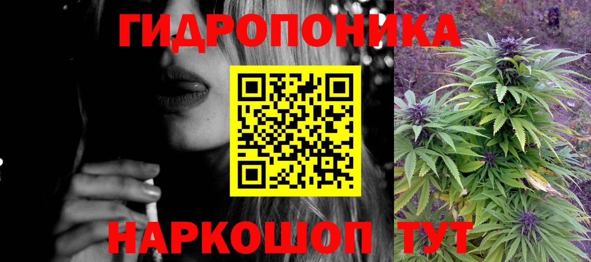 Канабис сатива Магадан